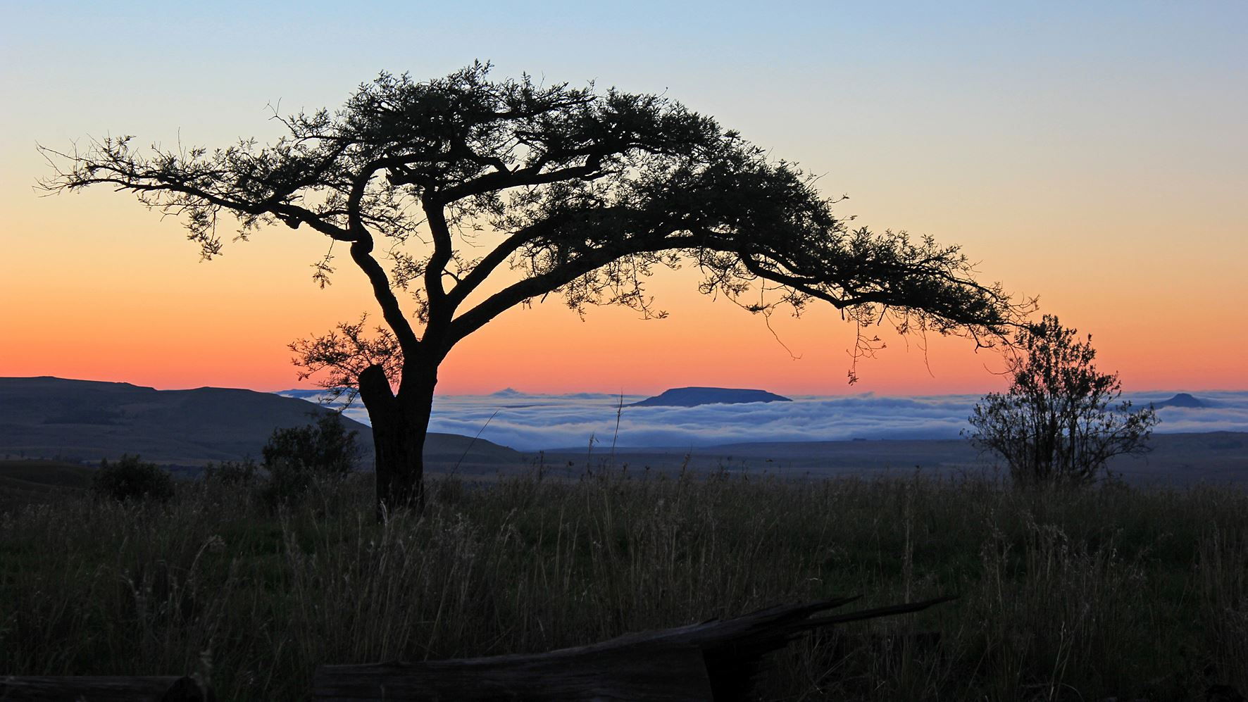 Sungubala Eco Camp